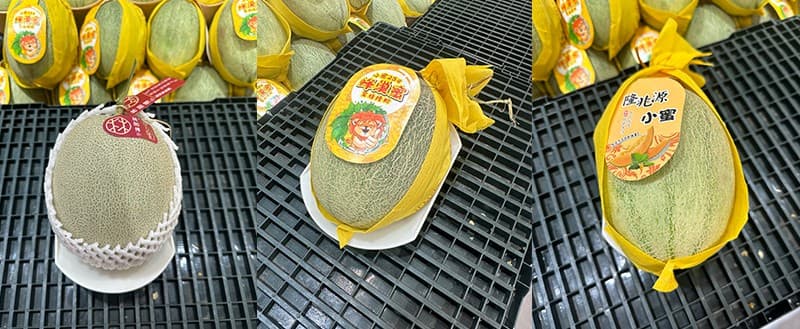 Cantaloupe weight grader.jpg